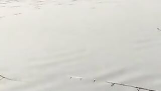 Amazing fishing wow
