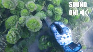 I Found a WORKING iPhone 11 UNDERWATER (Then Found It's Owner!)