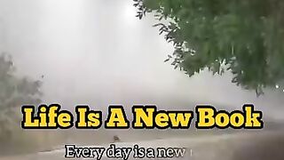 Life is a new book