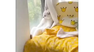 Very funny video ???????? watch must