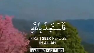 Quran Verses || Beautiful Quran Recitation || #quranrecitation #quranicvers #islam #quran #shorts