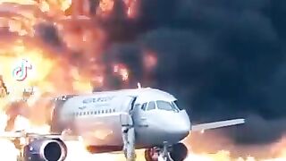 o no scream_wow I hope everyones okay - shorts