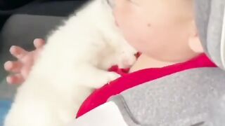 Cute cats funny cat and dog Videoes 2023 #cats #dogs #animals