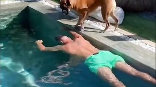 I pretend I drowned in the pool  here is my dog's reaction