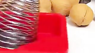 amazing Gadgets _Smart Appliances _ Kitchen tool _Utensils For Every Home - shorts- gadgets