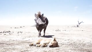 Funny Video