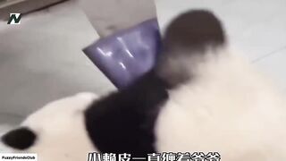 Fu Bao's