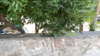 Two stray cats greeted us with the cutest meows