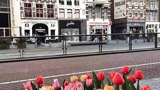 Amsterdam is full of sweet and delightful memories❤️❤️❤️