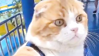 Oyen is taking selfies again