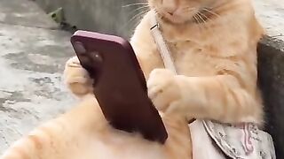 Oyen relax