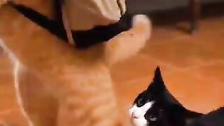 Oyen wants to leave and is held back by Sitam