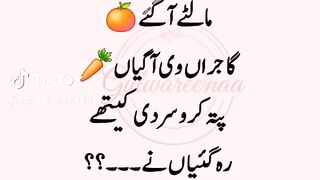 gulwareeenaa 8