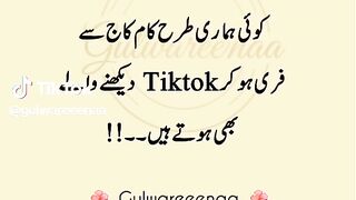 gulwareeenaa 9