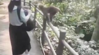 Women VS Monkey