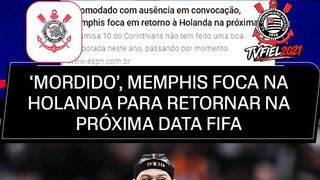 Mordido Memphis foca na Holanda.