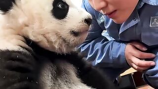 Kung Fu Panda 9