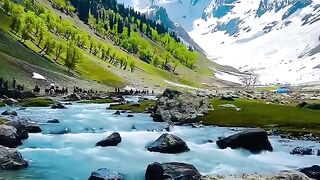 Swiss 6