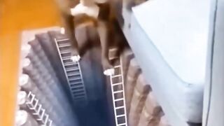 Cutcut 2