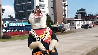 Funny pipuls 🤣