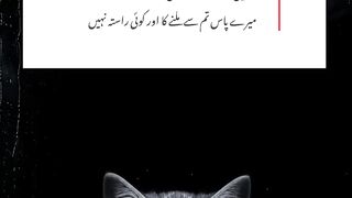 Apni aankhun k samandr mai utr jany dy