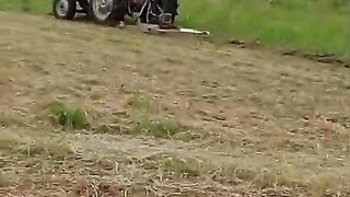 Grass cutting with tractor