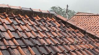 Rain in the afternoon 2