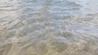 lake on a sunny day