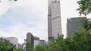 View of Chicago skyscraper partially enveloped in fog with lush greenery.