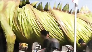 NAGA BERCULA