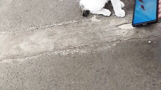 While I was waiting for the train at a station to go to work one morning, I...