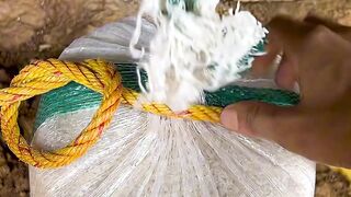 4 Must-Know Rope Knots Everyone Should Learn