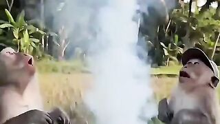 DON’T MISS THIS FUNNY VIDEO — YOU’LL LOVE IT! 😂