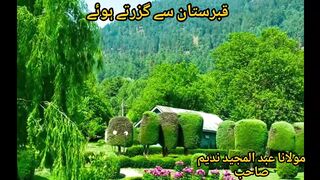 قبرستان سے گزرتے ہوئے مولانا عبد المجید ندیم صاحب