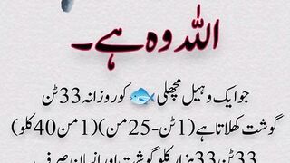 Allah Is the Provider (Ar-Razzaq)