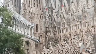 Barcelona With a Local