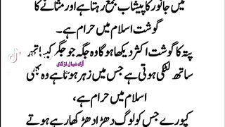 Islamic vedio 33