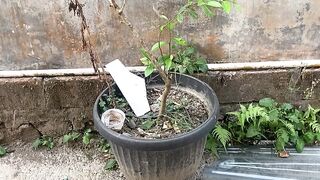 Random video 18