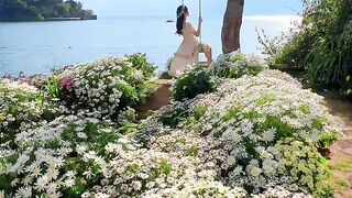 Beautiful views nature, Nature photography flowers, Medicinal flowers.............