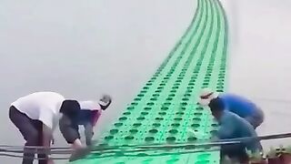 These Farmers Are Seriously Pros at What They Do! 🌾🔥