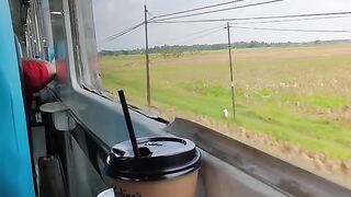 Naik kereta api sambil menikmati pemandangan sawah
