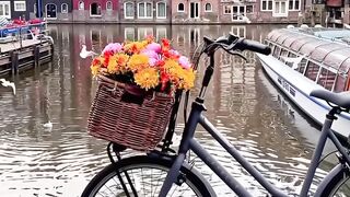 Welcome To Amsterdam #🇳🇱❤️❤️❤️
