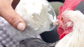 Chicken core