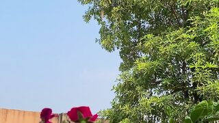 Natural vedio 2