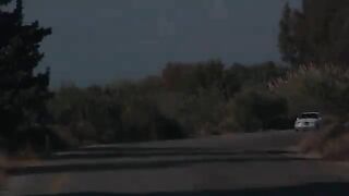 Tatlı Vatan | Türk Komedi Filmi