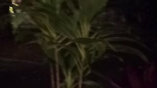Beautiful from bali 2