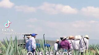 ElRenacerDeLuna 120