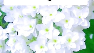 Rabbir Hamhuma Kama Rabbayani Sagheera | Quranic Dua for Parents