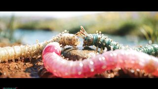 Option 3 (SEO Friendly): GODS DON'T GIVE GIFTS (2026) Trailer - Futuristic Sci-Fi Sci-Fi Horror Movie 4K