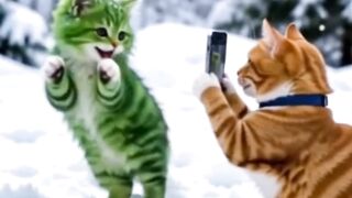 Cute kitties dance 😍 3